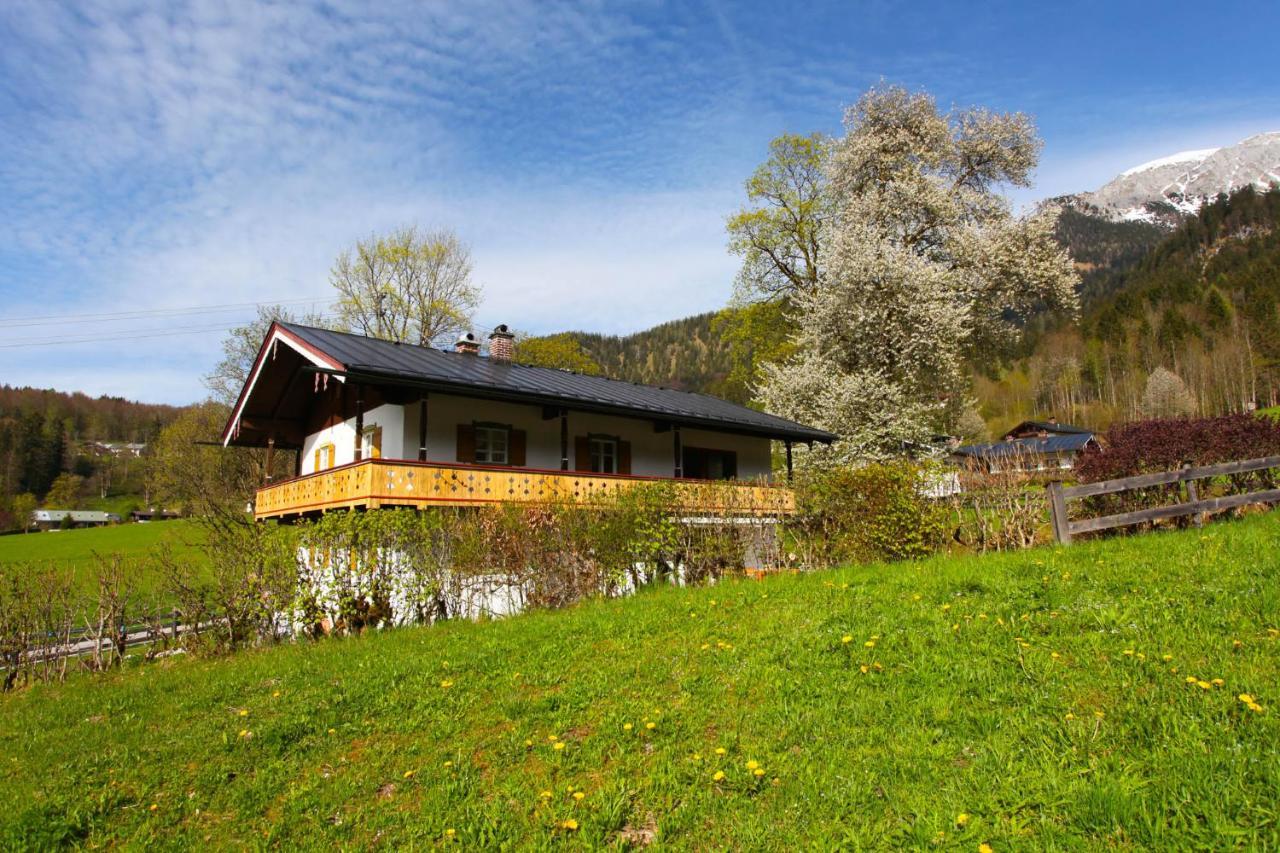 Alpenblume Königssee